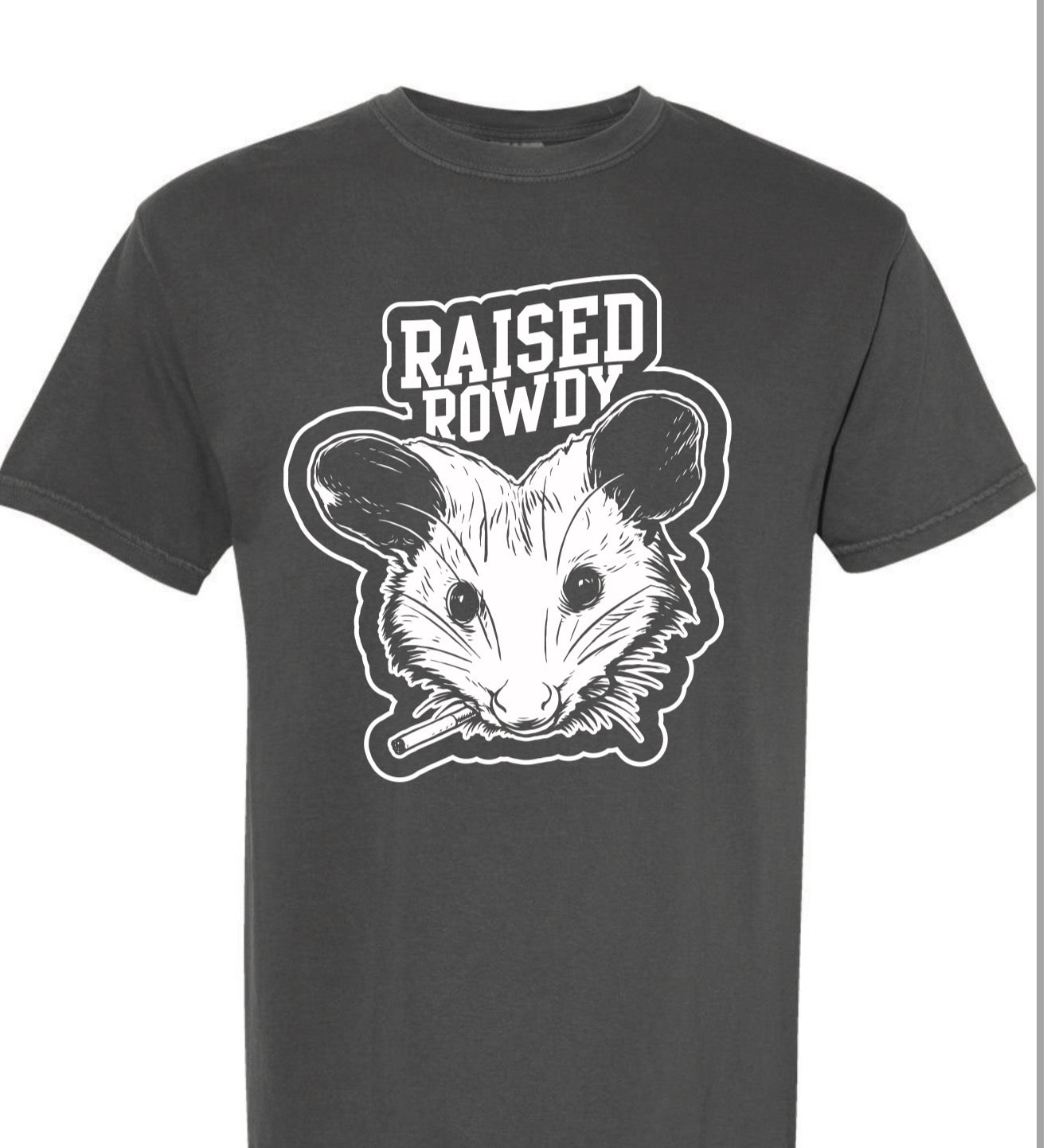 Trailer Park Possum