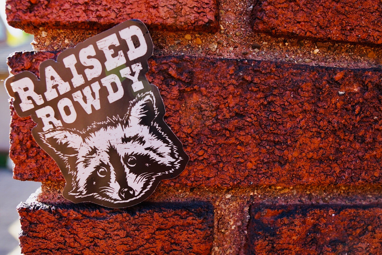 Renegade Raccoon Sticker