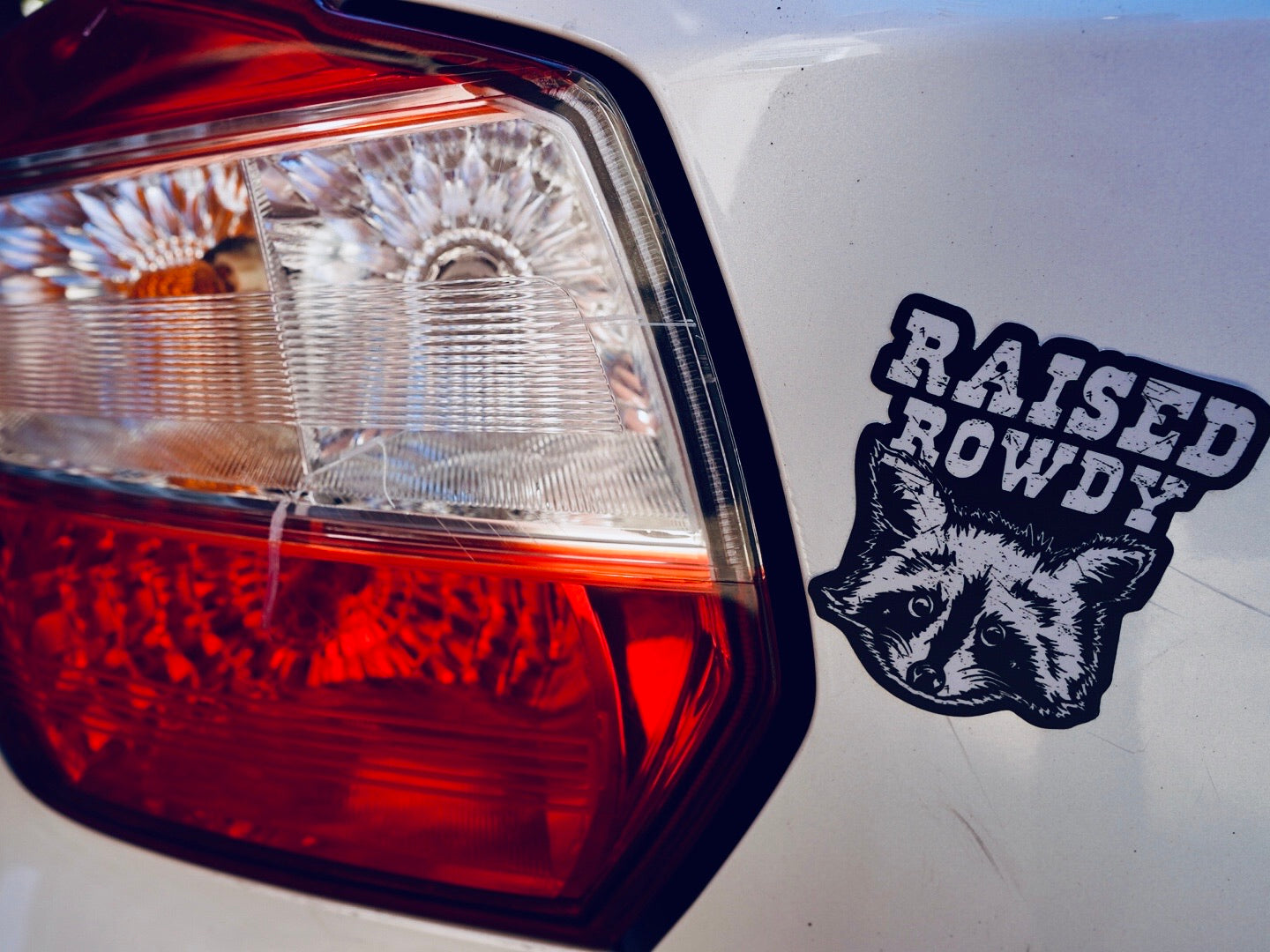 Renegade Raccoon Sticker